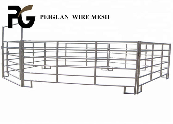 پانل های نرده فلزی 1.6x2.1m پایدار برای ضد خوردگی دام